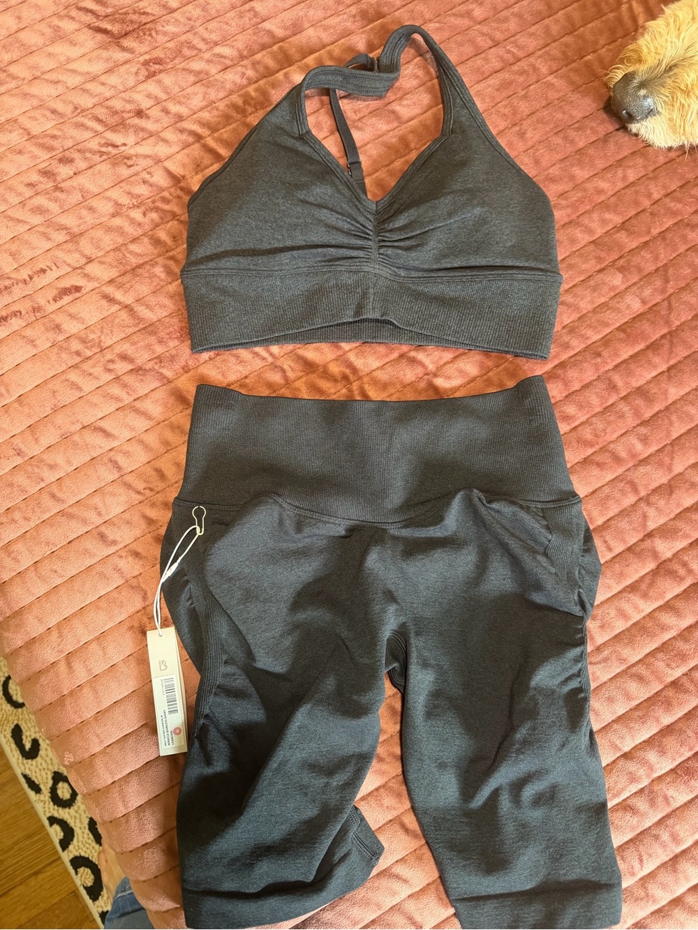 BuffBunny Black Seamless Sports Bra and High-Waist Shorts Set